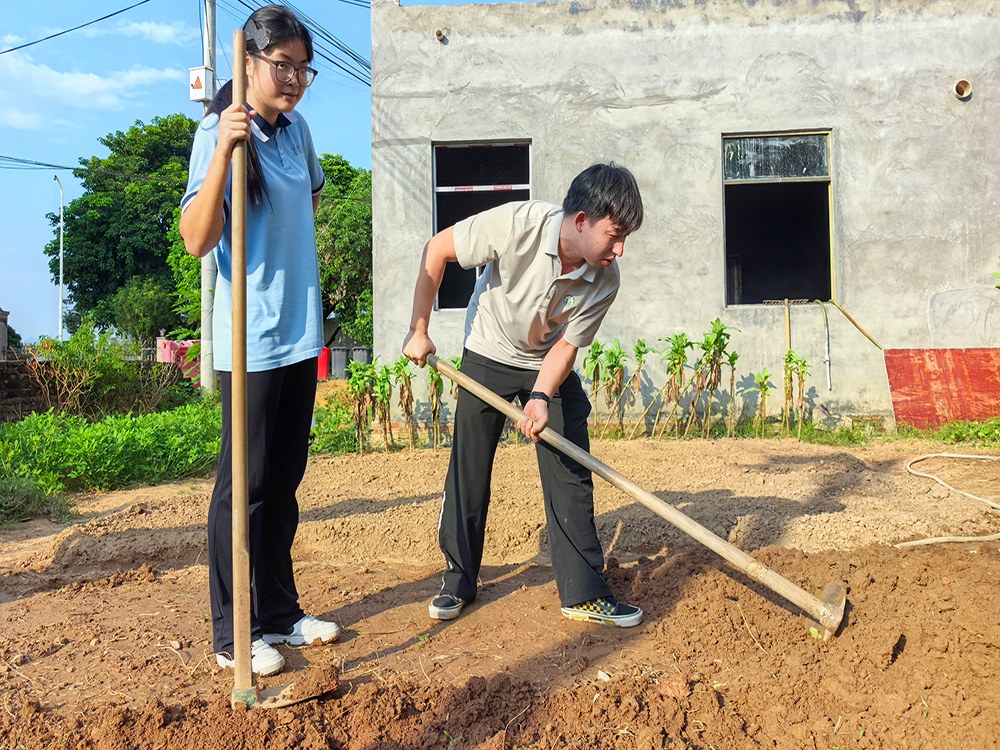阳泉问题青少年管教学校怎么联系?本地机构选择参考